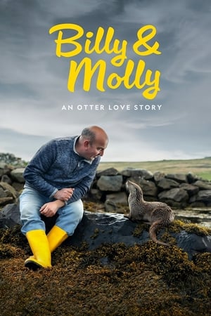 Billy & Molly An Otter Love Story movie english audio download 480p 720p 1080p