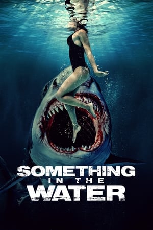 Something in the Water movie english audio download 480p 720p 1080p
